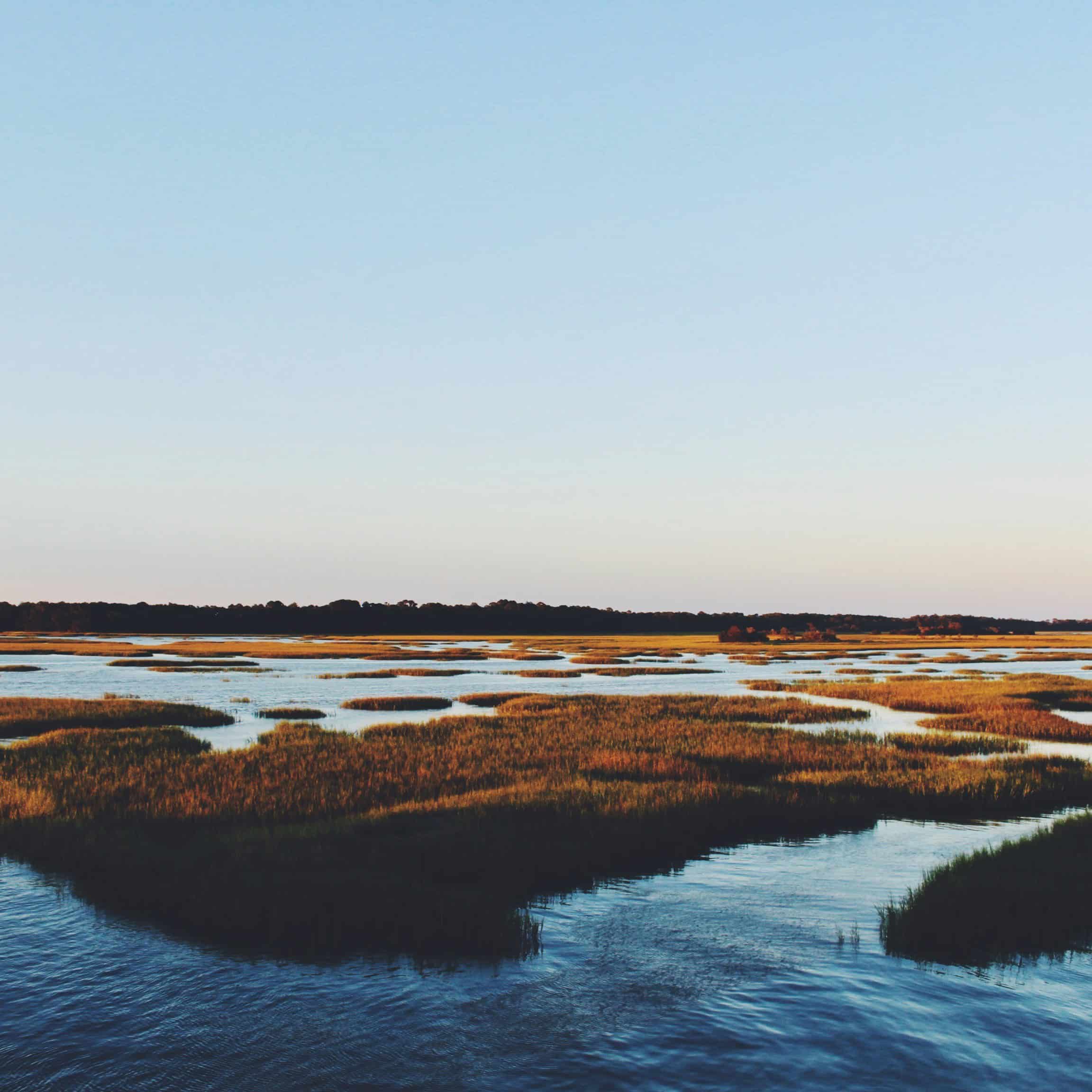 Start Your Recovery Journey Today