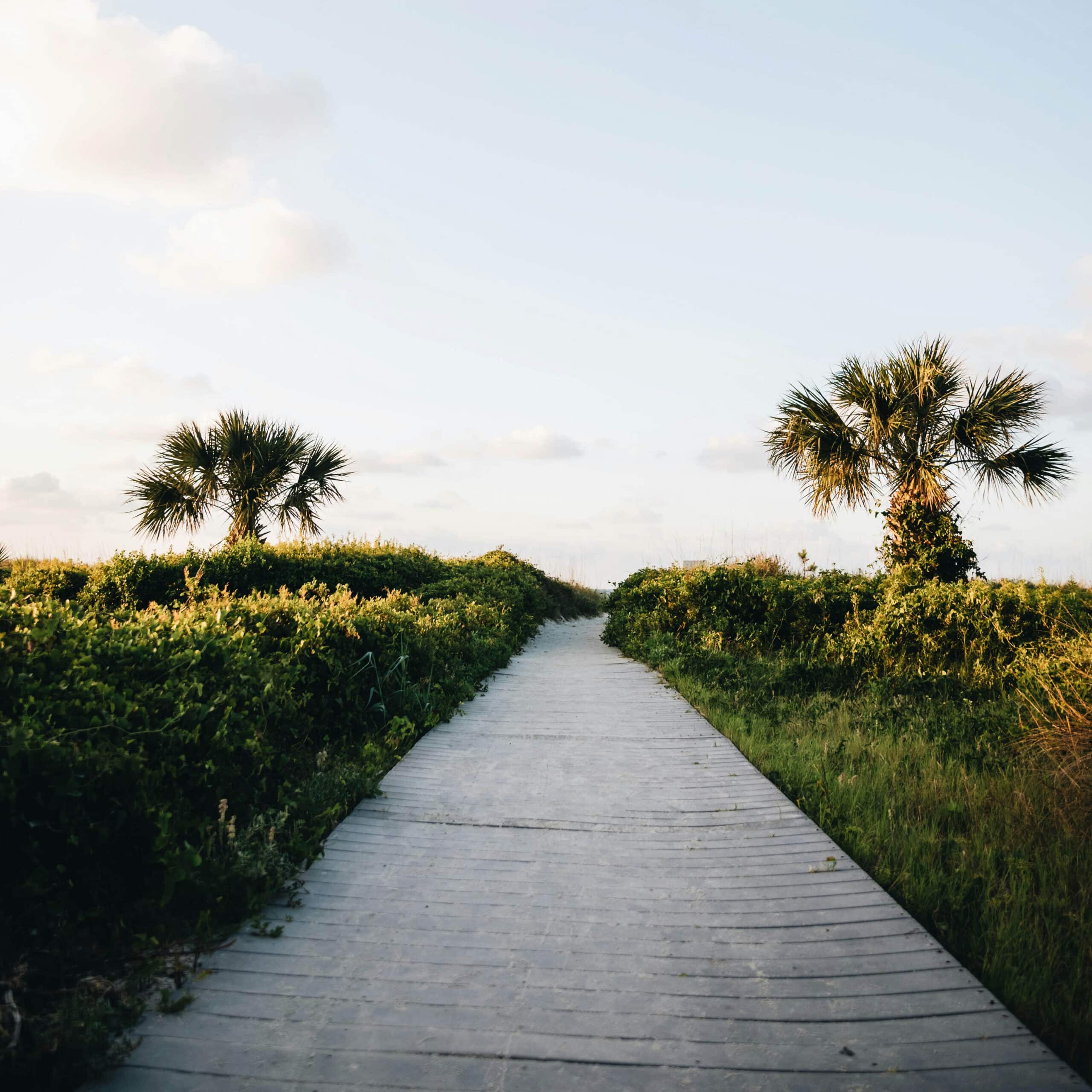 Professional Addiction Intervention Services