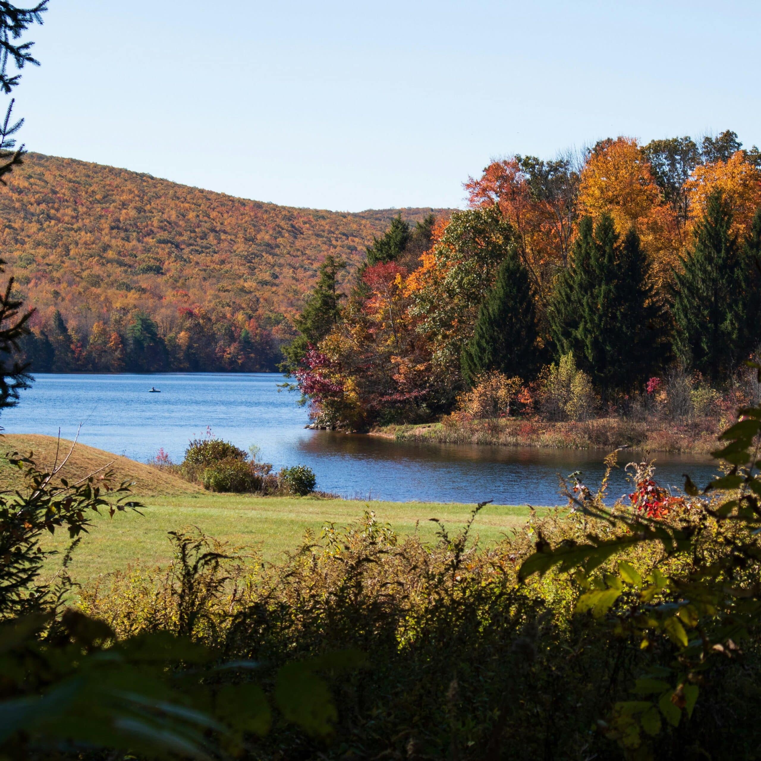 Personalized Pathways to Recovery